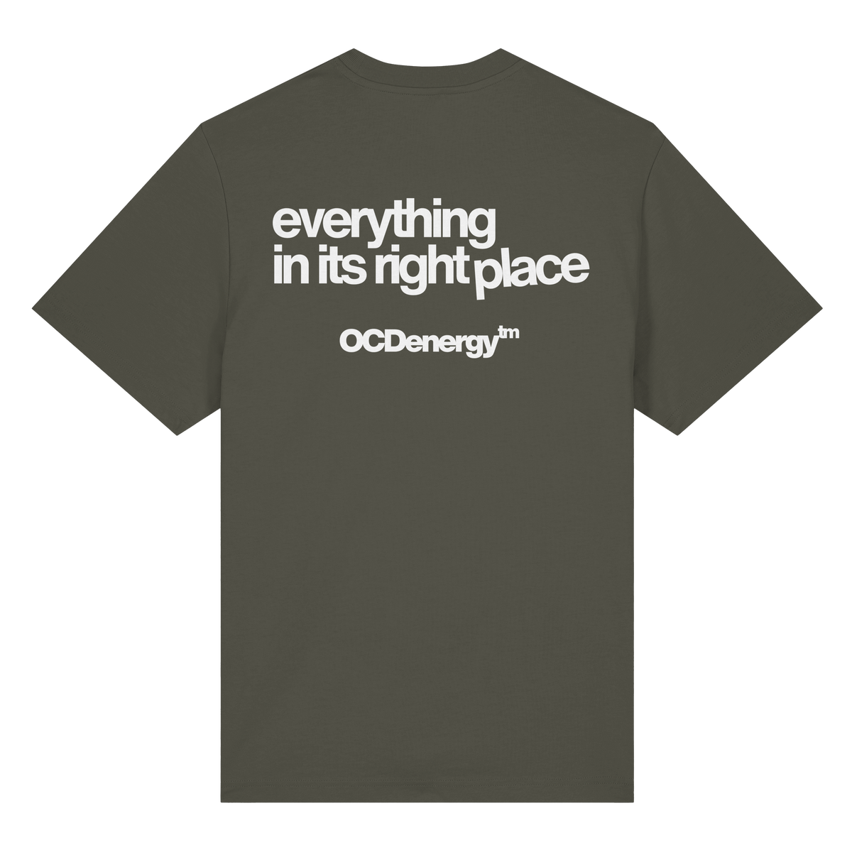 REWIRED Everything In Place Organic Heavy T-Shirt (REWRD D01)