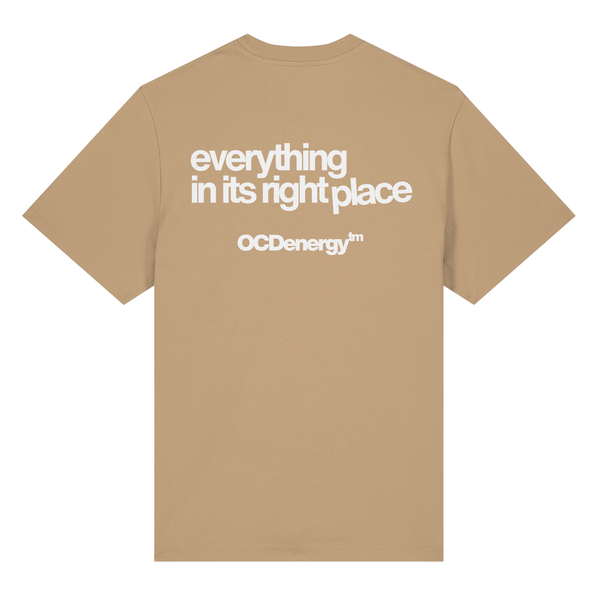 REWIRED Everything In Place Organic Heavy T-Shirt (REWRD D01)