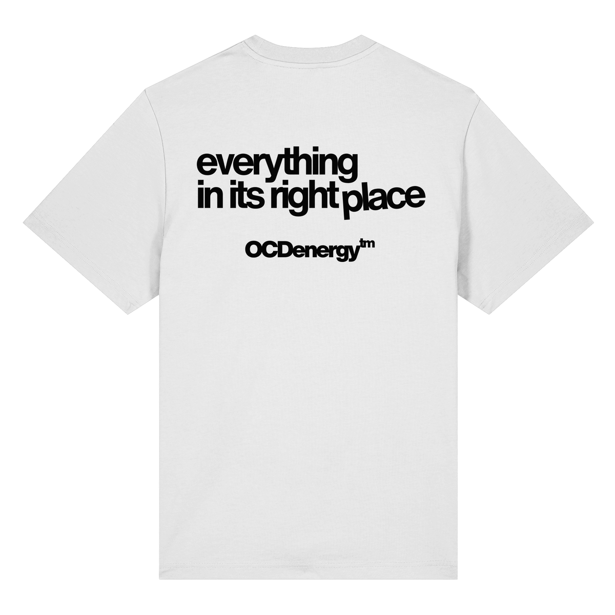 REWIRED Everything In Place Organic Heavy T-Shirt (REWRD D01)