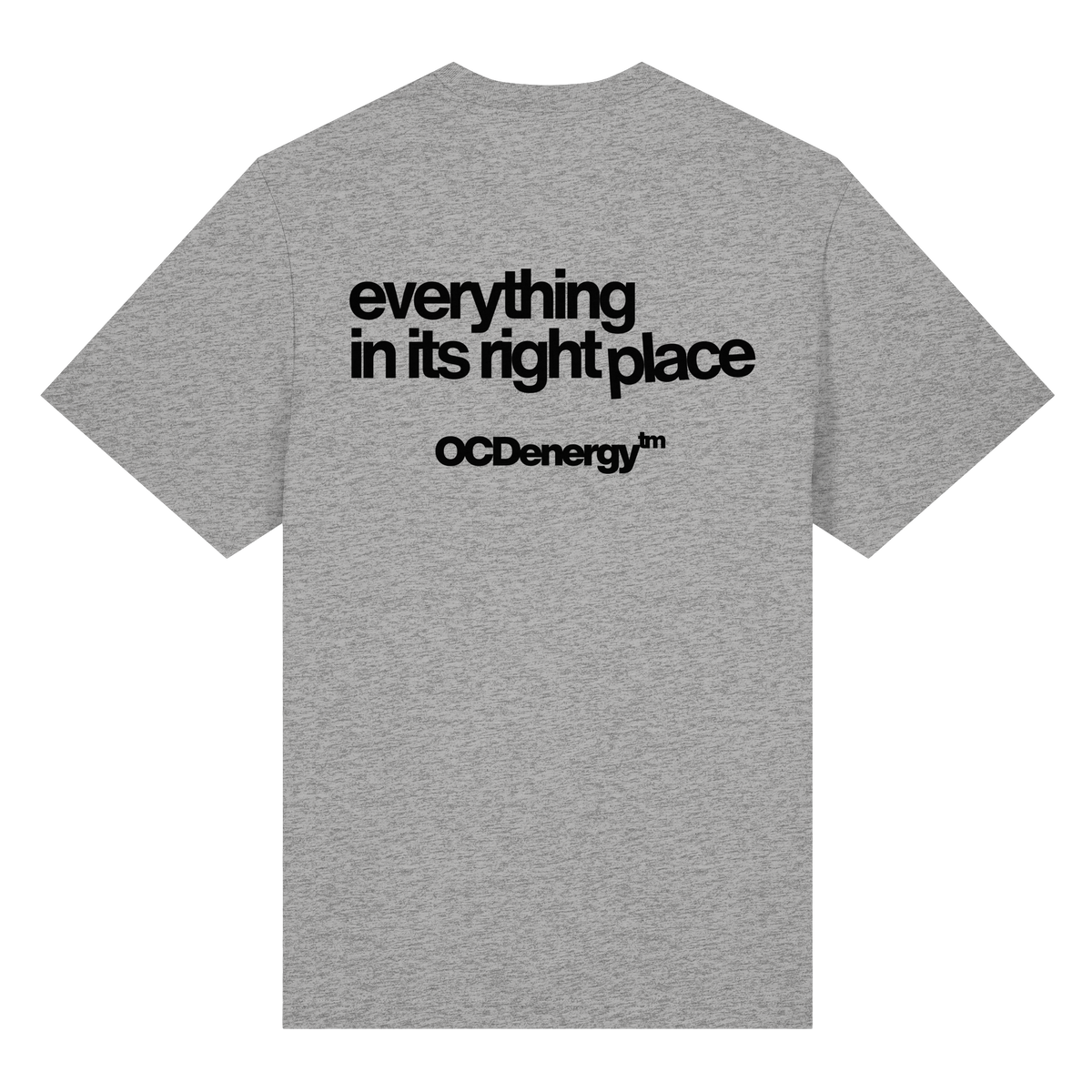 REWIRED Everything In Place Organic Heavy T-Shirt (REWRD D01)