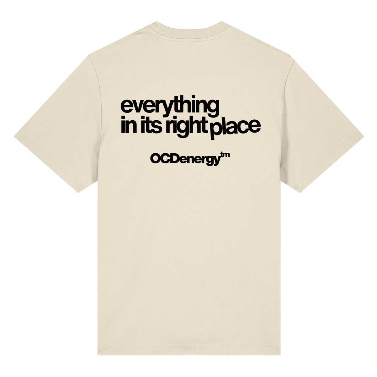 REWIRED Everything In Place Organic Heavy T-Shirt (REWRD D01)