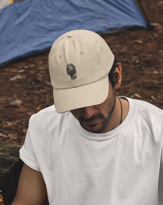 ST. IV // Dad hat